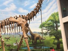 -辽宁古生物博物馆