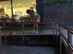 -友乐居羊蝎子(西直门店)