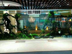 -西玛西餐厅(乐晟广场店)