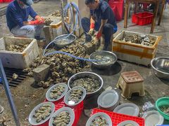 -花苑美食横琴生蚝火锅(拱北粤华路店)