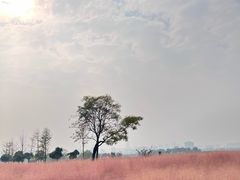 -汉长安城未央宫国家考古遗址公园