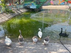 -北京鹿世界主题园