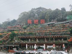 -枇杷园食为鲜火锅(南山店)