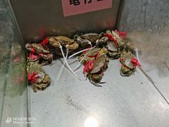-都斛海鲜街
