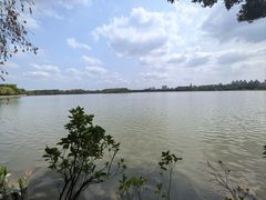 -海珠湖公园