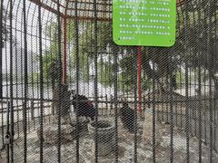 -长白岛森林公园