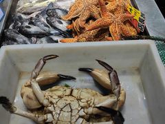 -大京园海鲜烧烤(东城路店)