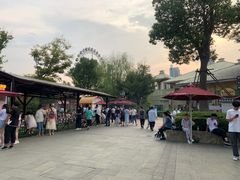 -合肥融创乐园