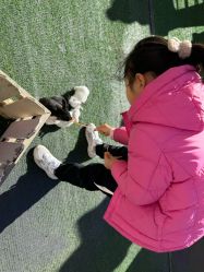 -萌宠亲子动物乐园(槐房万达店)