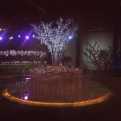 -北京瑰丽酒店·宴会厅·婚宴·会展