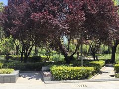 -木塔寺遗址生态公园