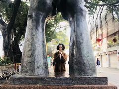 -九龙公园