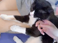 -Sirena海妖日咖夜酒