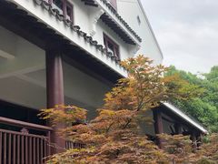 -苏州吴宫泛太平洋酒店