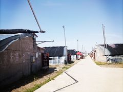 -西青郊野公园