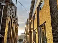 -The Grounds of Alexandria