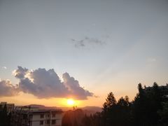 -武陵山森林公园