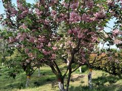 -西安汉城湖景区