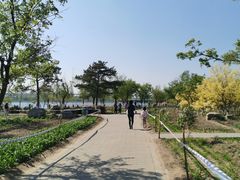 -绿堤公园