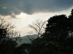-天鹿湖森林公园