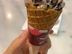-哈根达斯(华星店)