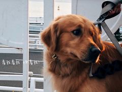 -演武大桥观景平台