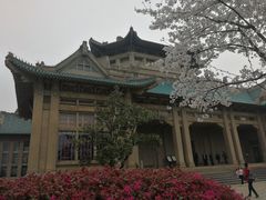 -武汉大学-樱园