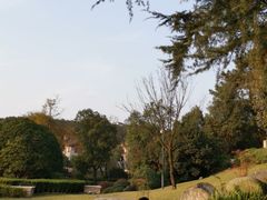 -铁山坪森林公园