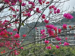 -龙门水都景区