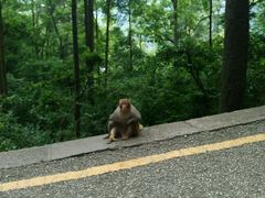 -黔灵山公园-南门售票处