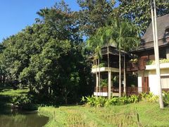 -四季酒店下午茶