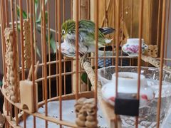 -点绛唇(鼓楼店)