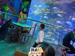 -泉城欧乐堡海洋极地世界