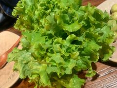 生菜-老牌坊云南鱼豆花火锅(嵩山店)
