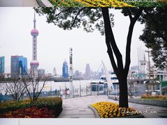 -北外滩滨江绿地