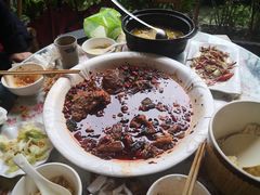 -龙翔山庄雷鸡肉(青城后山泰安古镇店)