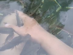 -海兰云天度假区温泉