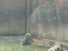 -杭州野生动物世界