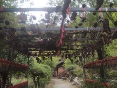 -丽江玉水寨
