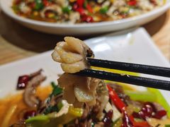 黑鱼花-三猫黑鱼花(南大店)
