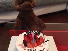 -美丽心情蛋糕(江苏路店)