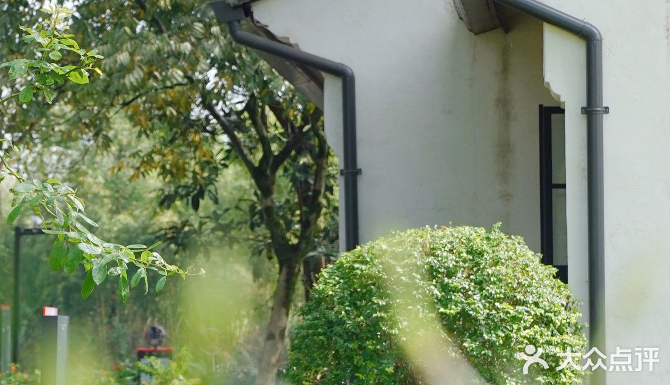 杭城秋日🍂赏桂好去处｜有个神仙村落桂花开啦💓