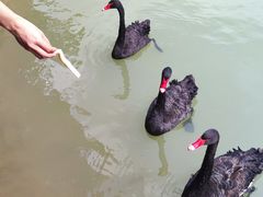 -广州白江湖森林公园