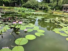 -国家植物园南园