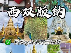 -西双版纳原始森林公园