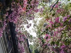 -深圳国际园林花卉博览园