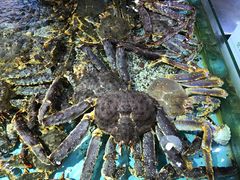 -渔民新村(番禺总店)