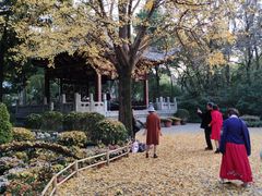 -汇龙潭