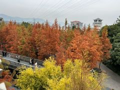 -福道
