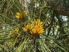 -江南大学(蠡湖校区)